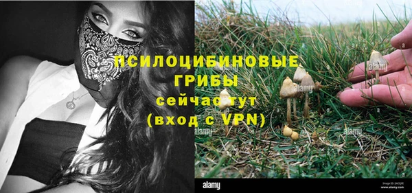прущая мука Лабытнанги