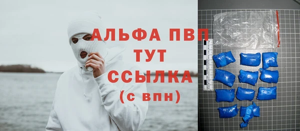 ECSTASY Лагань