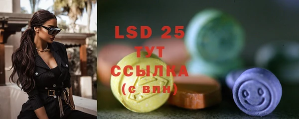 стаф Ладушкин