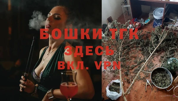 ECSTASY Лагань