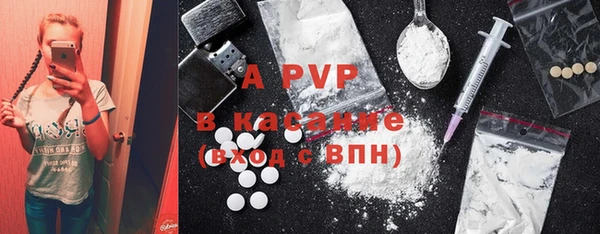 стаф Ладушкин