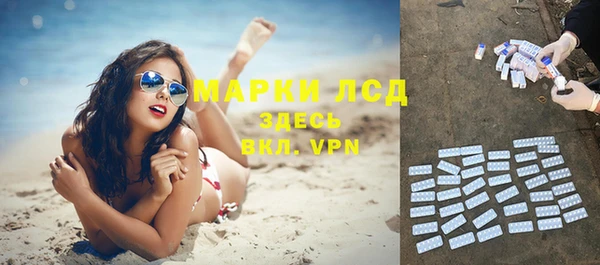 ГАЛЛЮЦИНОГЕННЫЕ ГРИБЫ Кулебаки