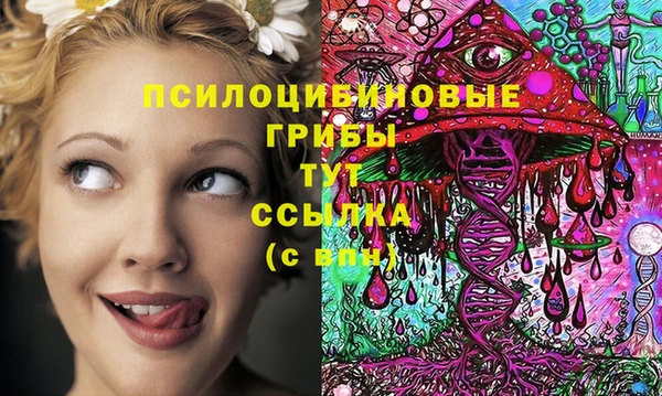 гашик Красноперекопск