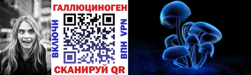 mega ТОР  Кондопога  Псилоцибиновые грибы MAGIC MUSHROOMS  где можно купить  
